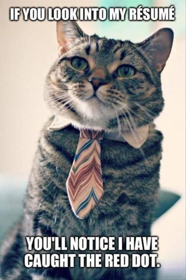 Top 10 Humor Memes For The Day. The Last Meme Is For The Cat Lovers - picture 11