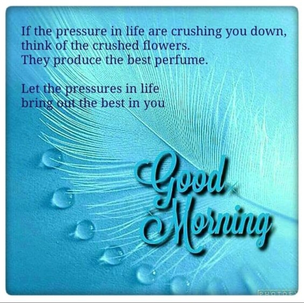 Top 10 Inspirational Good Morning Quotes Of The Day - picture 9
