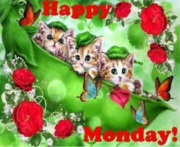 Top 10 Monday Quotes And Sayings For The Week - picture 10