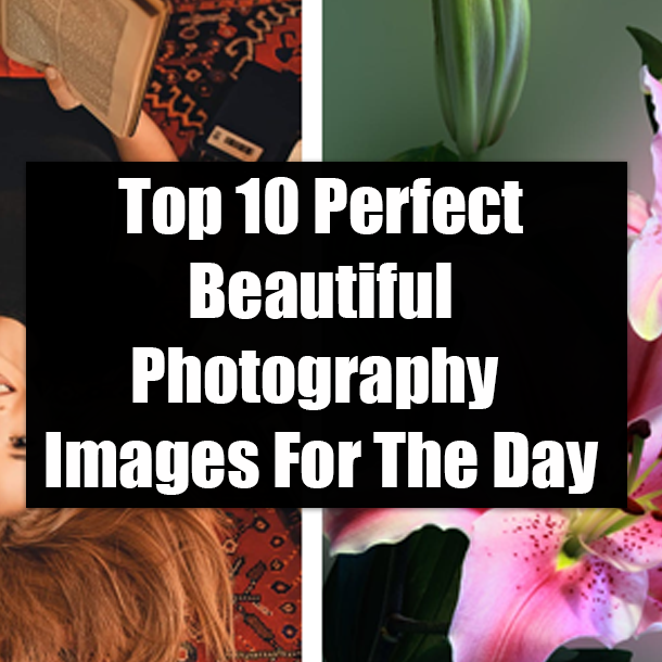 Top 10 Perfect Beautiful Photography Images For The Day