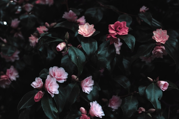 Top 10 Perfect Beautiful Photography Images For The Day - picture 10