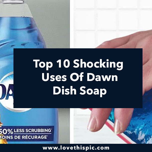 Top 10 Shocking Uses Of Dawn Dish Soap