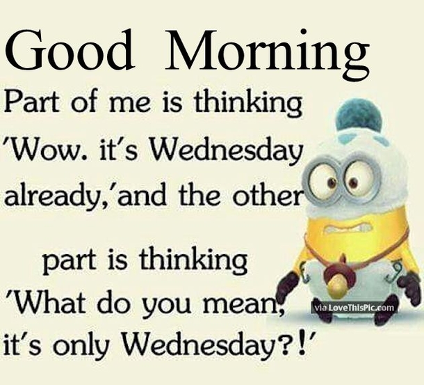 Top 20 Good Morning Wednesday Quotes - picture 13