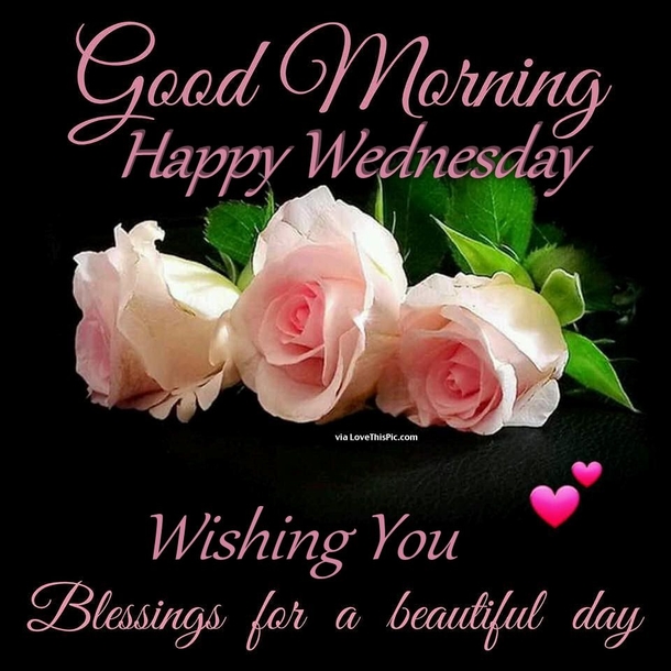 Top 20 Good Morning Wednesday Quotes - picture 17