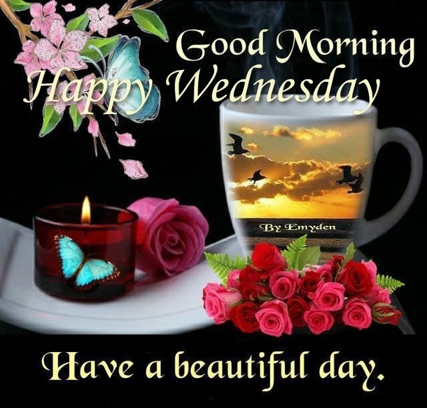 Top 20 Good Morning Wednesday Quotes - picture 18