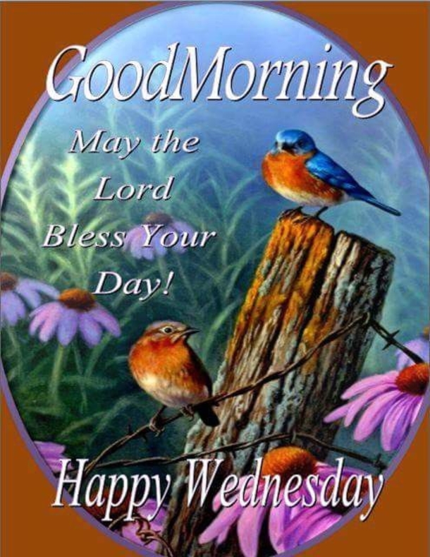 Top 20 Good Morning Wednesday Quotes - picture 4