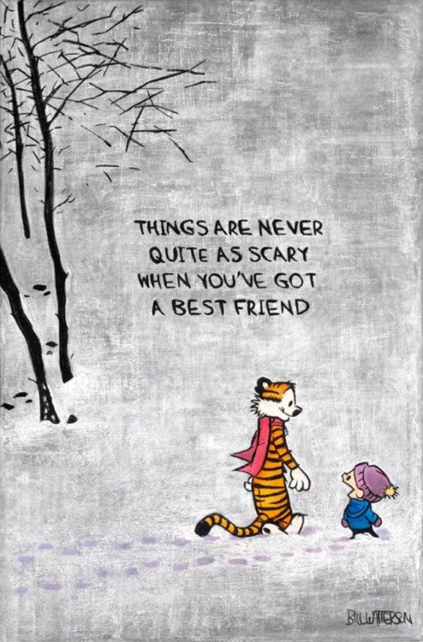 Top 30 Friendship Quotes & Sayings - picture 19