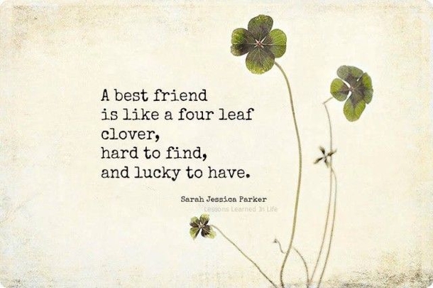 Top 30 Friendship Quotes & Sayings - picture 30