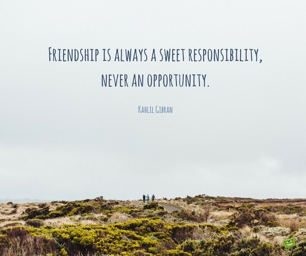 Top 30 Friendship Quotes & Sayings - picture 4