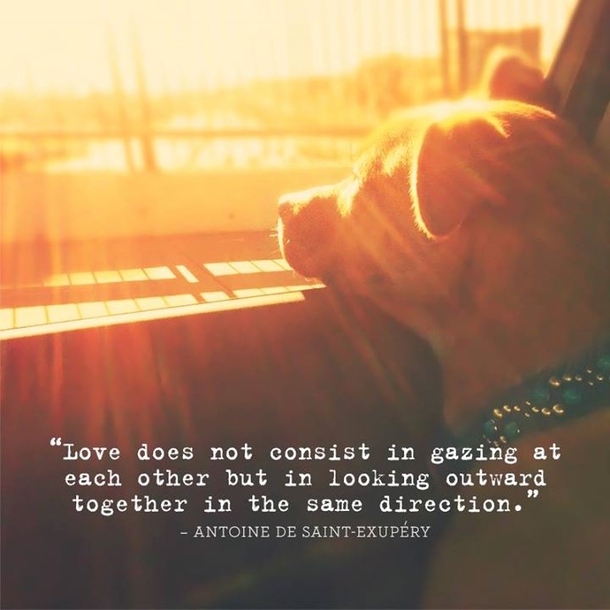 Top 30 Love Quotes & Images - picture 14