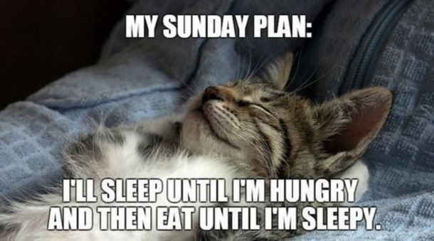 Top 50+ Awesome Sunday Images And Quotes - picture 13