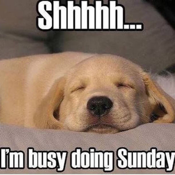 Top 50+ Awesome Sunday Images And Quotes - picture 14