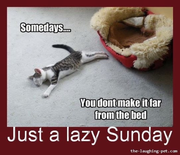 Top 50+ Awesome Sunday Images And Quotes - picture 15
