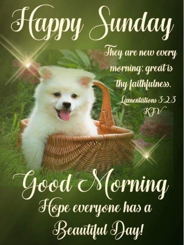Top 50+ Awesome Sunday Images And Quotes - picture 28