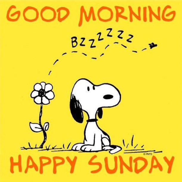 Top 50+ Awesome Sunday Images And Quotes - picture 3