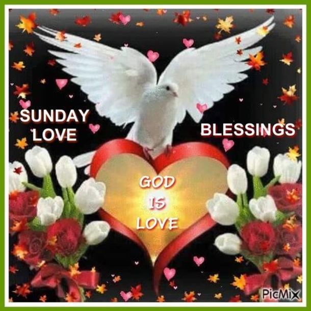Top 50+ Awesome Sunday Images And Quotes - picture 32