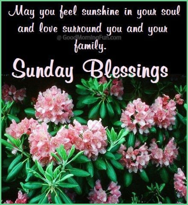 Top 50+ Awesome Sunday Images And Quotes - picture 50