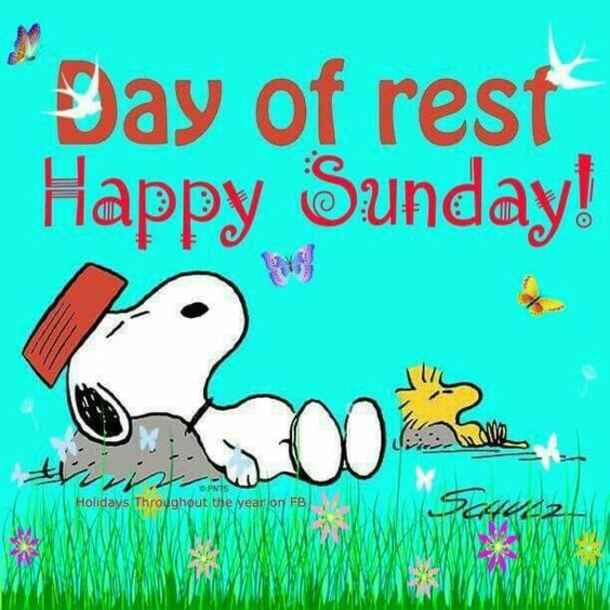 Top 50+ Awesome Sunday Images And Quotes - picture 51