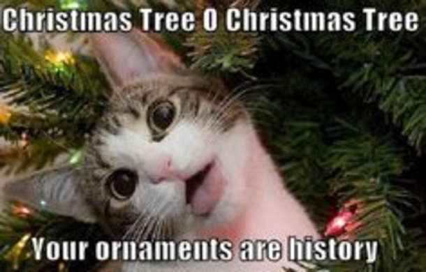 Top 50 Funny Christmas Memes This Year - picture 11