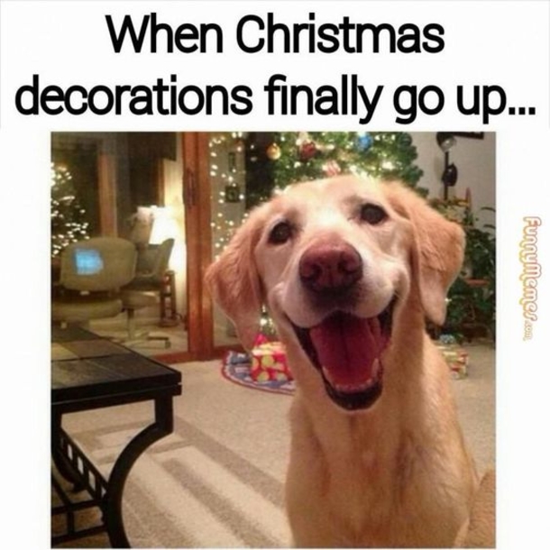Top 50 Funny Christmas Memes This Year - picture 12