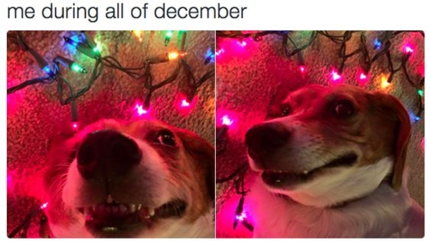 Top 50 Funny Christmas Memes This Year - picture 13