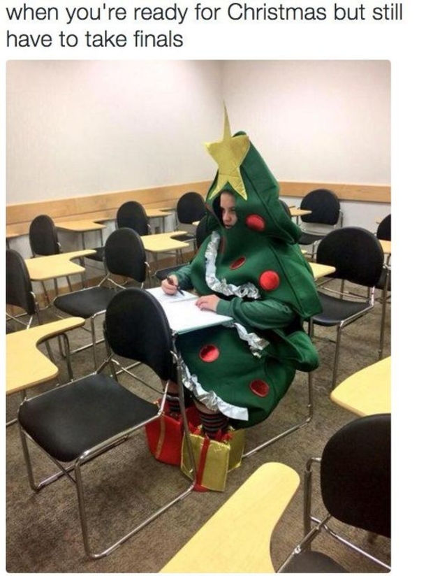 Top 50 Funny Christmas Memes This Year - picture 18