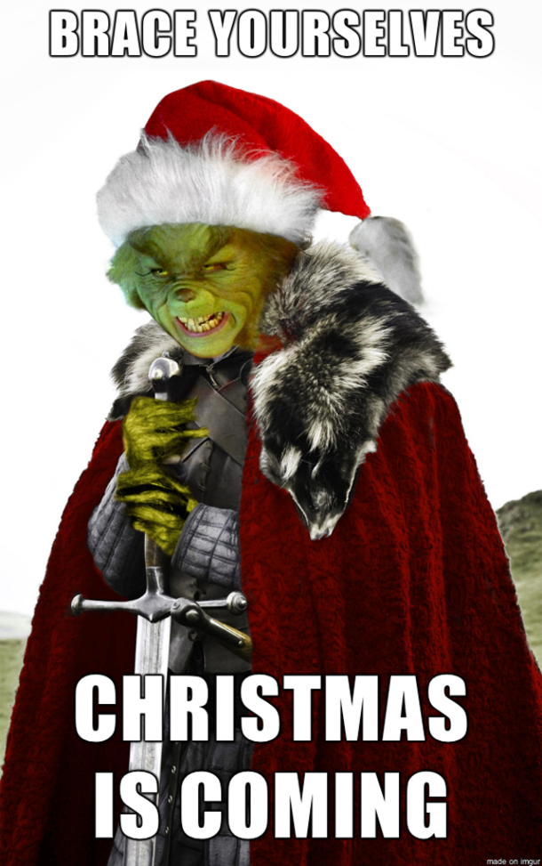 Top 50 Funny Christmas Memes This Year - picture 25