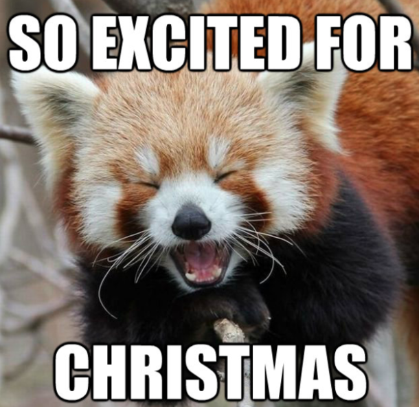 Top 50 Funny Christmas Memes This Year - picture 26