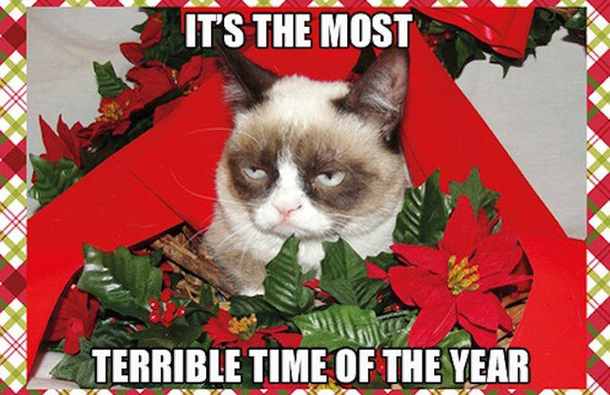 Top 50 Funny Christmas Memes This Year - picture 31