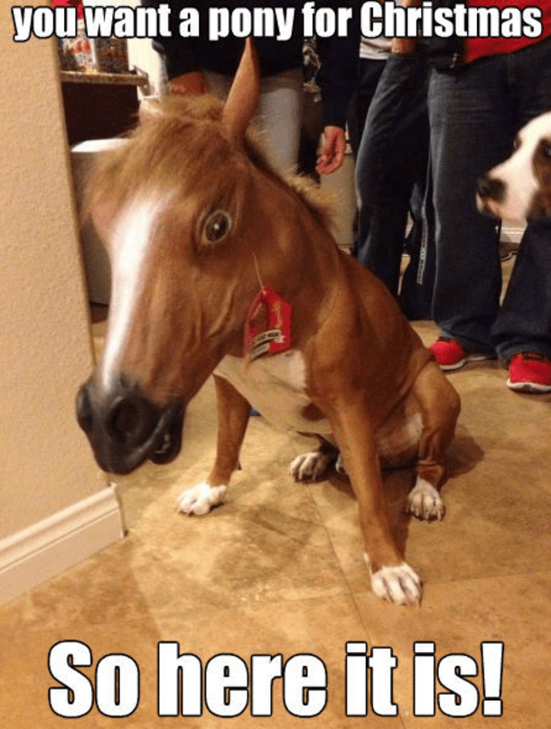 Top 50 Funny Christmas Memes This Year - picture 33