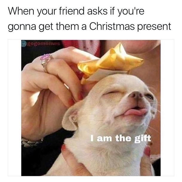 Top 50 Funny Christmas Memes This Year - picture 36