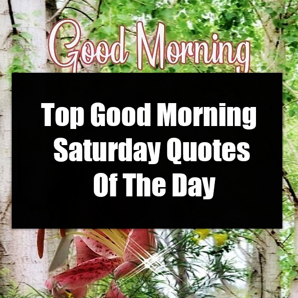 Top Good Morning Saturday Quotes Of The Day