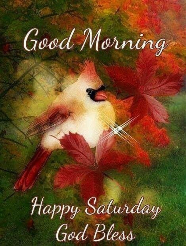 Top Good Morning Saturday Quotes Of The Day - picture 12