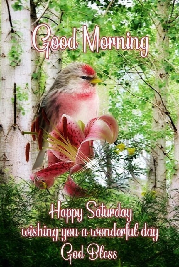 Top Good Morning Saturday Quotes Of The Day - picture 4