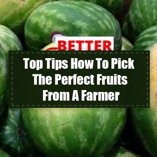 Top Tips How To Pick The Perfect Fruits From A Farmer