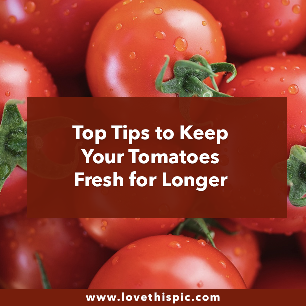 Top Tips to Keep Your Tomatoes Fresh for Longer