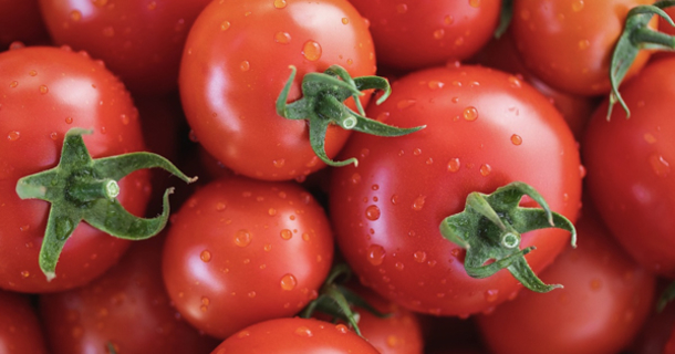 Top Tips to Keep Your Tomatoes Fresh for Longer - picture 2
