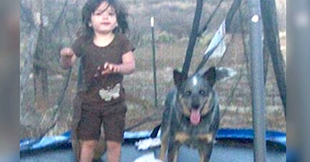 Total Panic After 3-Year-Old Vanishes -- Then They Find Her In Frozen Creek Bed With... - picture 2