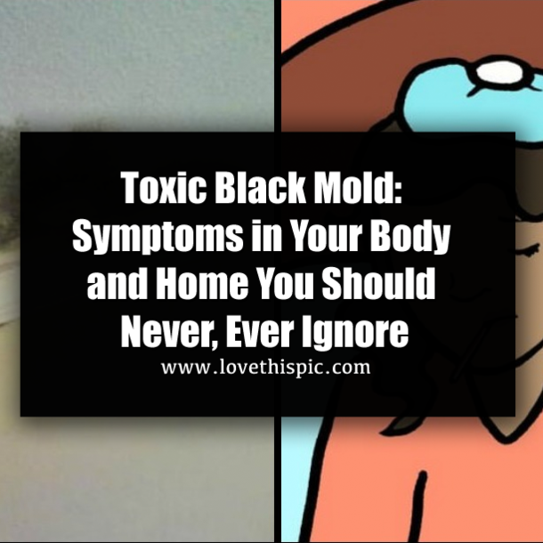 Toxic Black Mold: Symptoms in Your Body and Home You Should Never, Ever Ignore