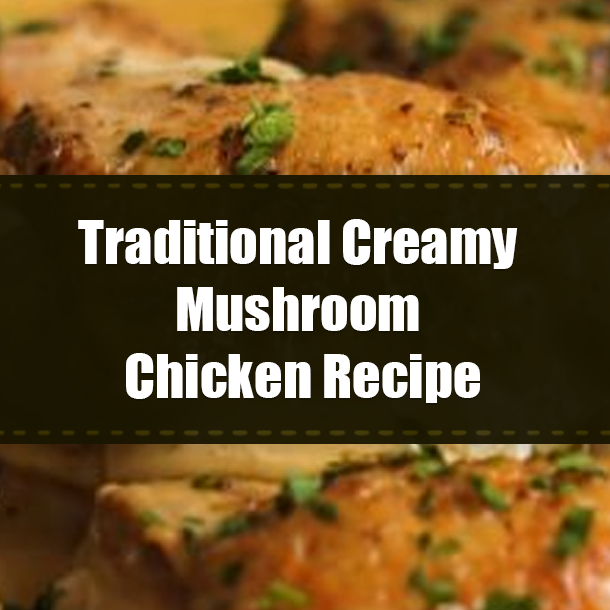 Traditional Creamy Mushroom Chicken Recipe