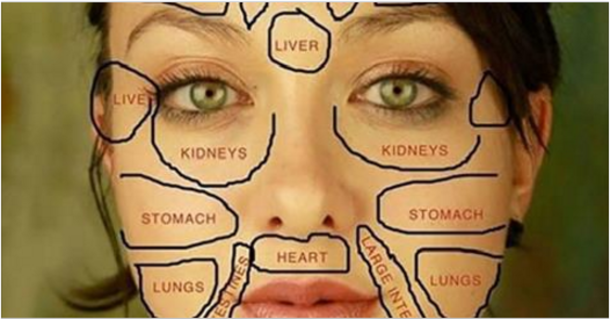 Traditional Medicine’s Face Map Reveals What Part Of Your Body Is Sick, And What To Do! - picture 2