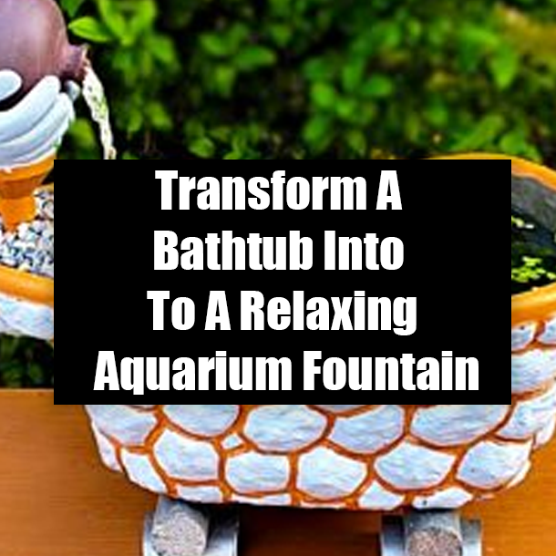 Transform A Bathtub Into To A Relaxing Aquarium Fountain