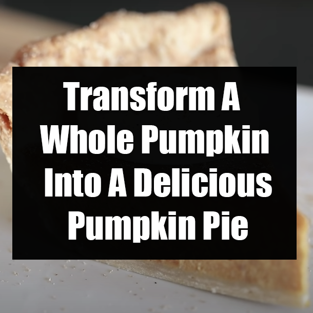 Transform A Whole Pumpkin Into A Delicious Pumpkin Pie