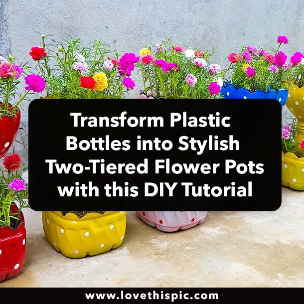 Transform Plastic Bottles into Stylish Two-Tiered Flower Pots with this DIY Tutorial