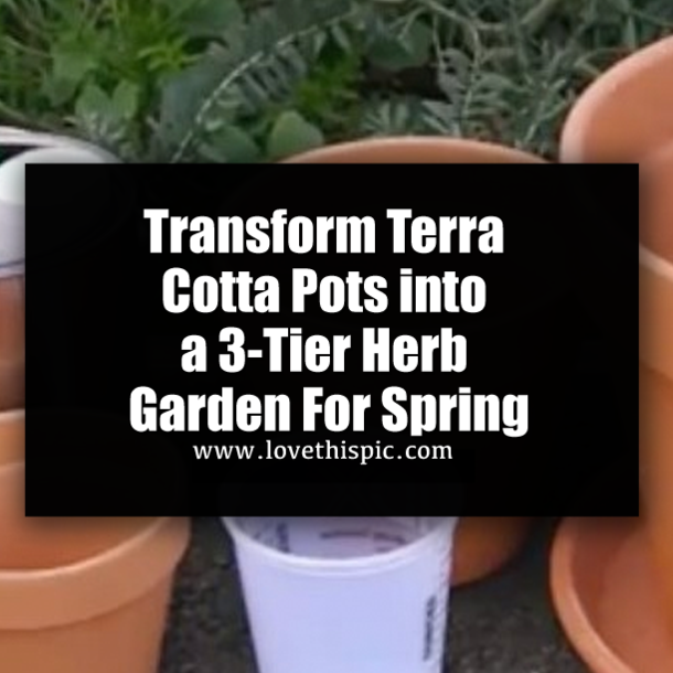 Transform Terra Cotta Pots into a 3-Tier Herb Garden For Spring