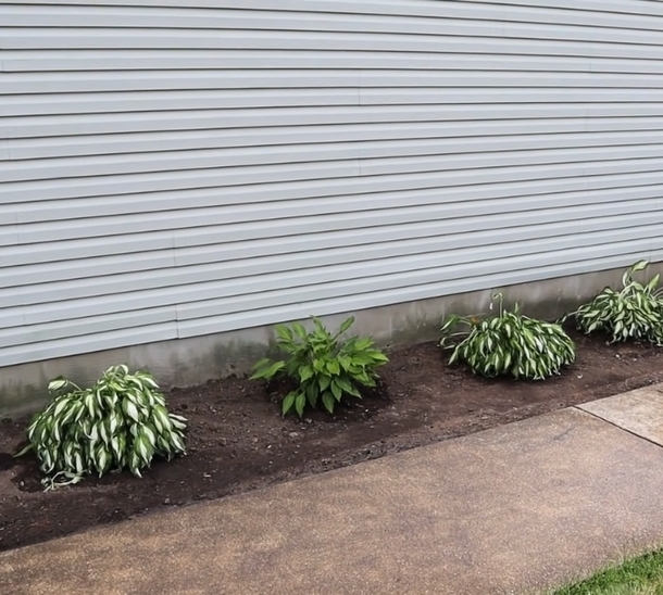 Transform Your Outdoor Space With This Creative DIY Rock Landscaping Idea - picture 2