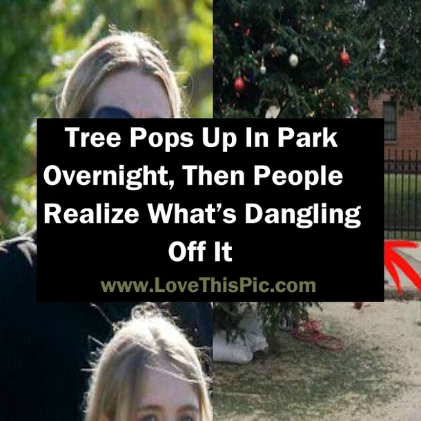 Tree Pops Up In Park Overnight, Then People Realize What’s Dangling Off It