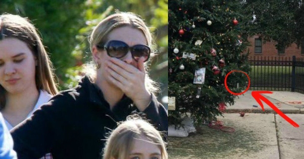 Tree Pops Up In Park Overnight, Then People Realize What’s Dangling Off It - picture 2