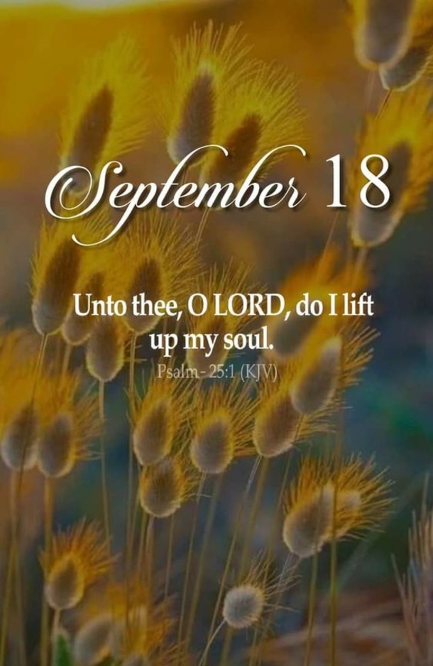 Trending September 18 Quotes Of The Day - picture 10