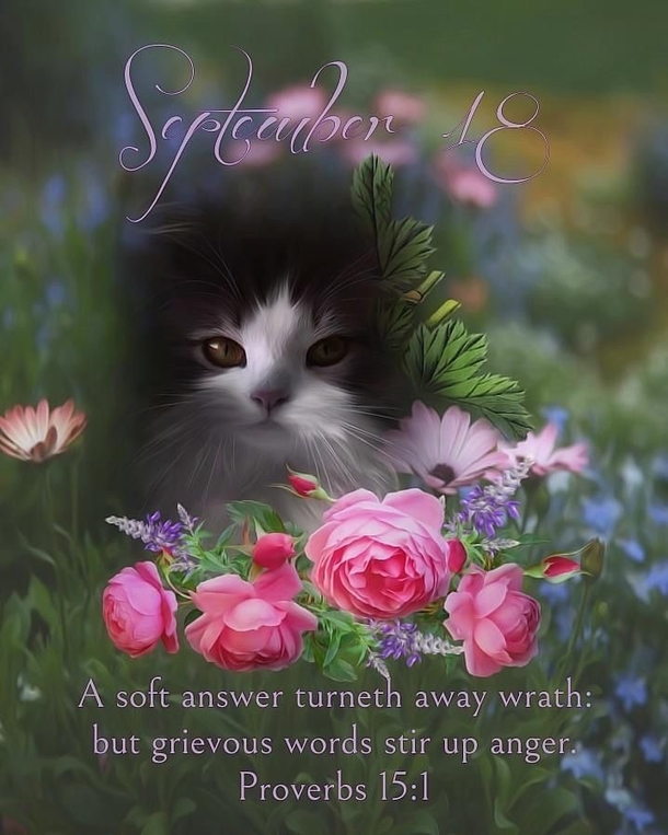 Trending September 18 Quotes Of The Day - picture 4